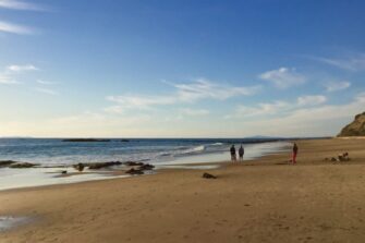 Crystal-Cove-State-Park-CALIFORNIA-STATE-PARKS.jpg