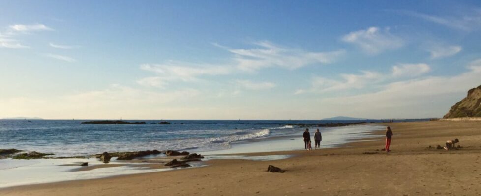 Crystal-Cove-State-Park-CALIFORNIA-STATE-PARKS.jpg